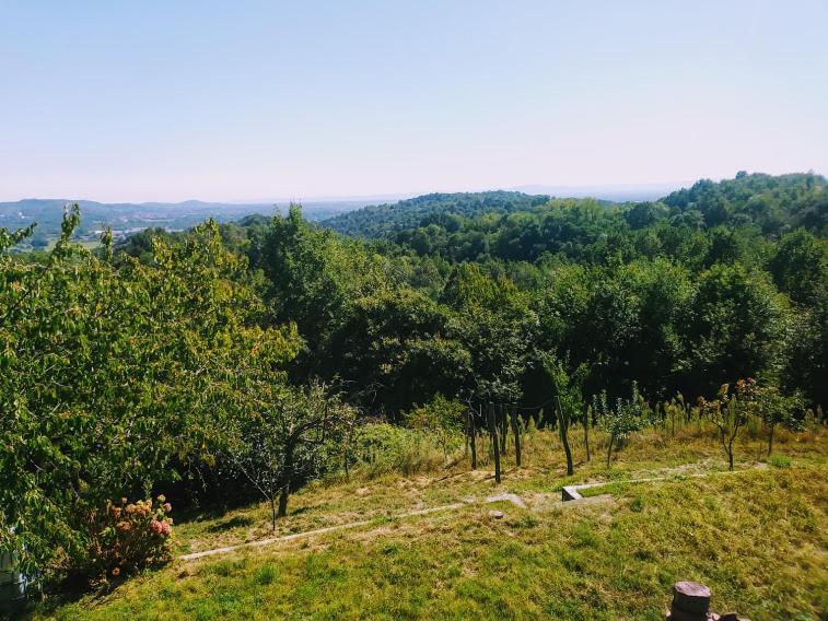 Hotel Il Pettirosso Castellamonte Esterno foto